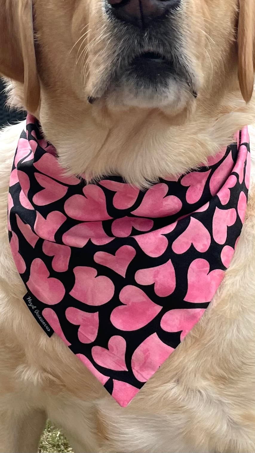 Pink Crush Hearts tie on Bandana image 5