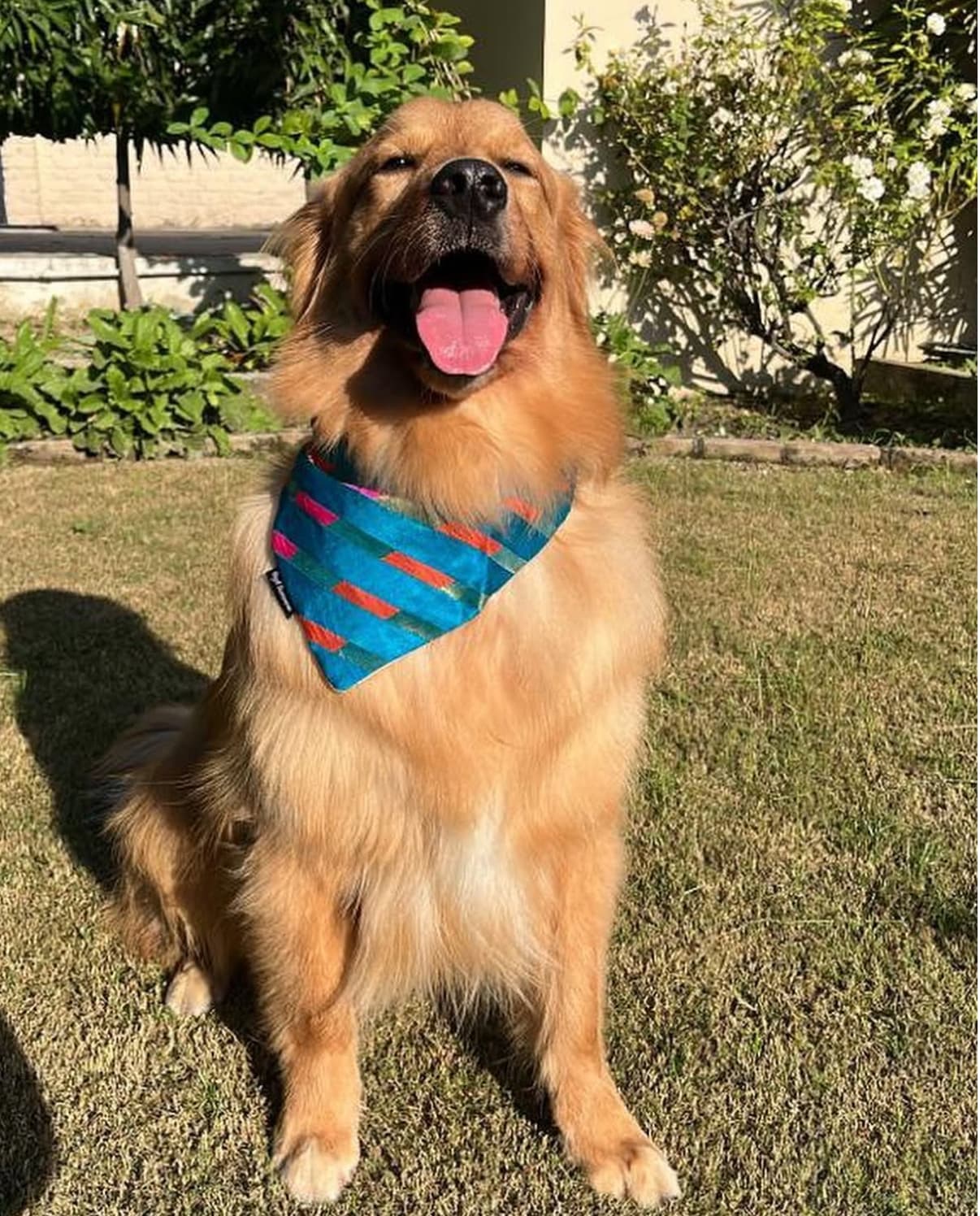Blue Mirage tie on Bandana  image 2