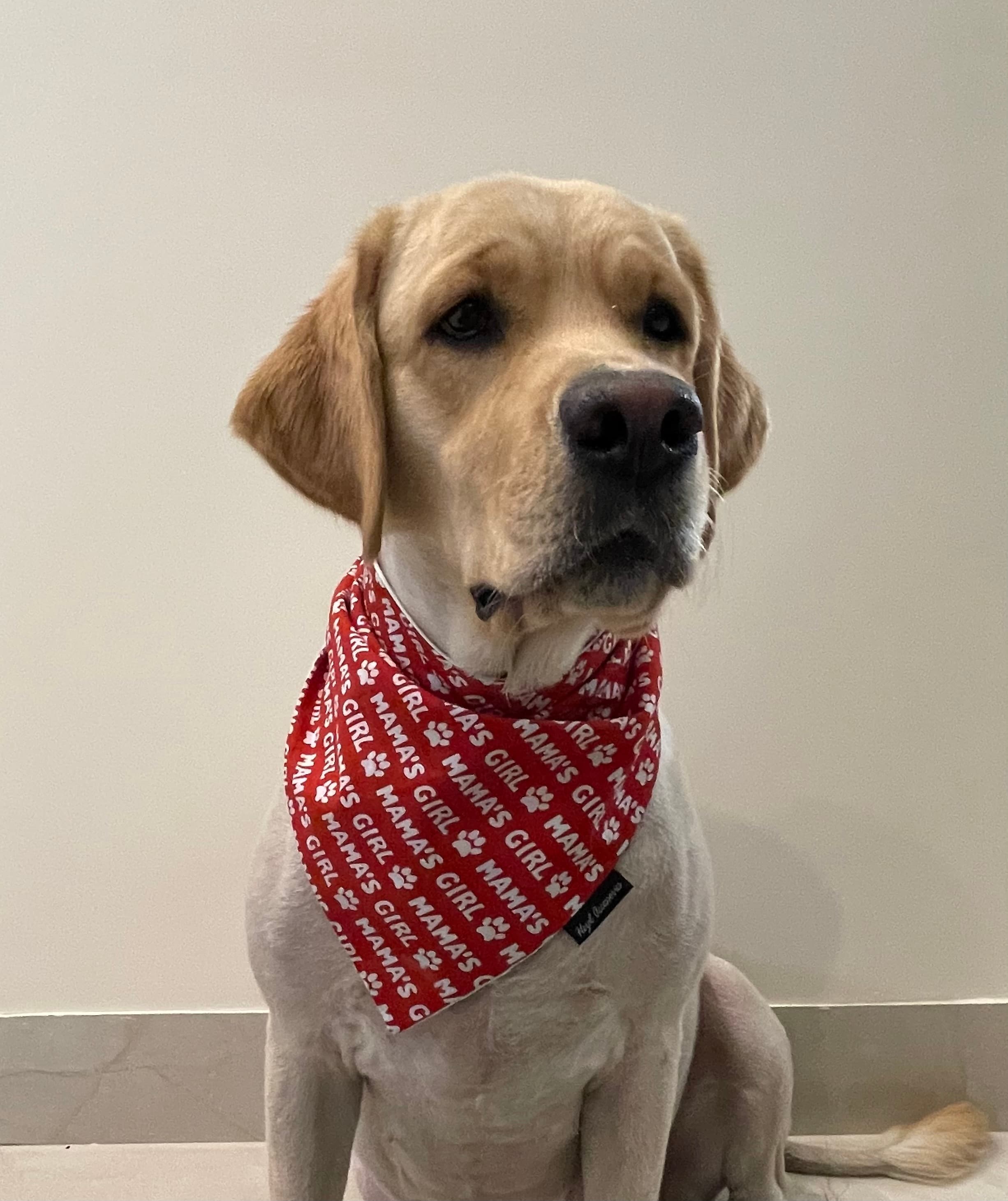 Mama’s girl tie on bandana  image 5