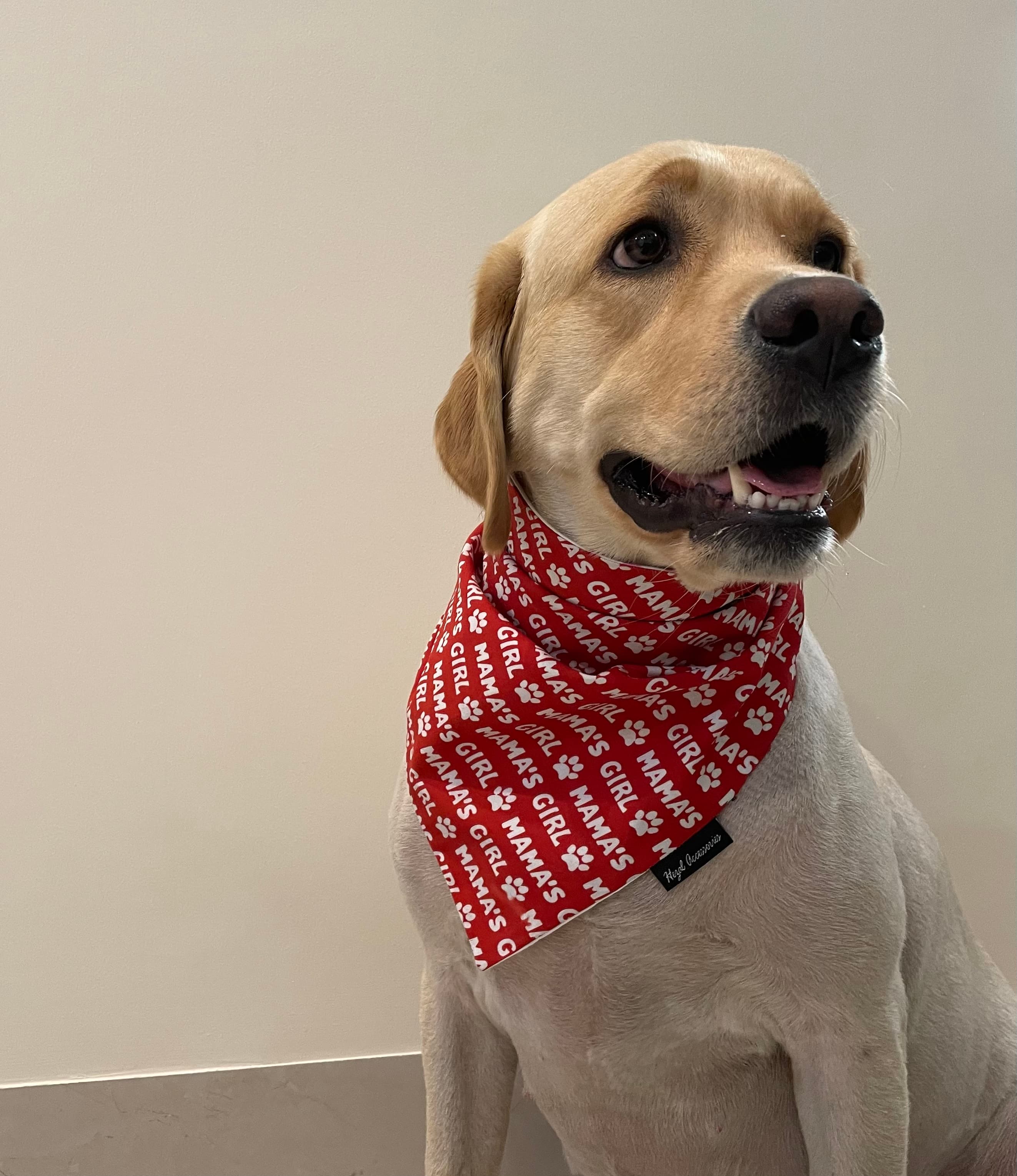 Mama’s girl tie on bandana  image 2