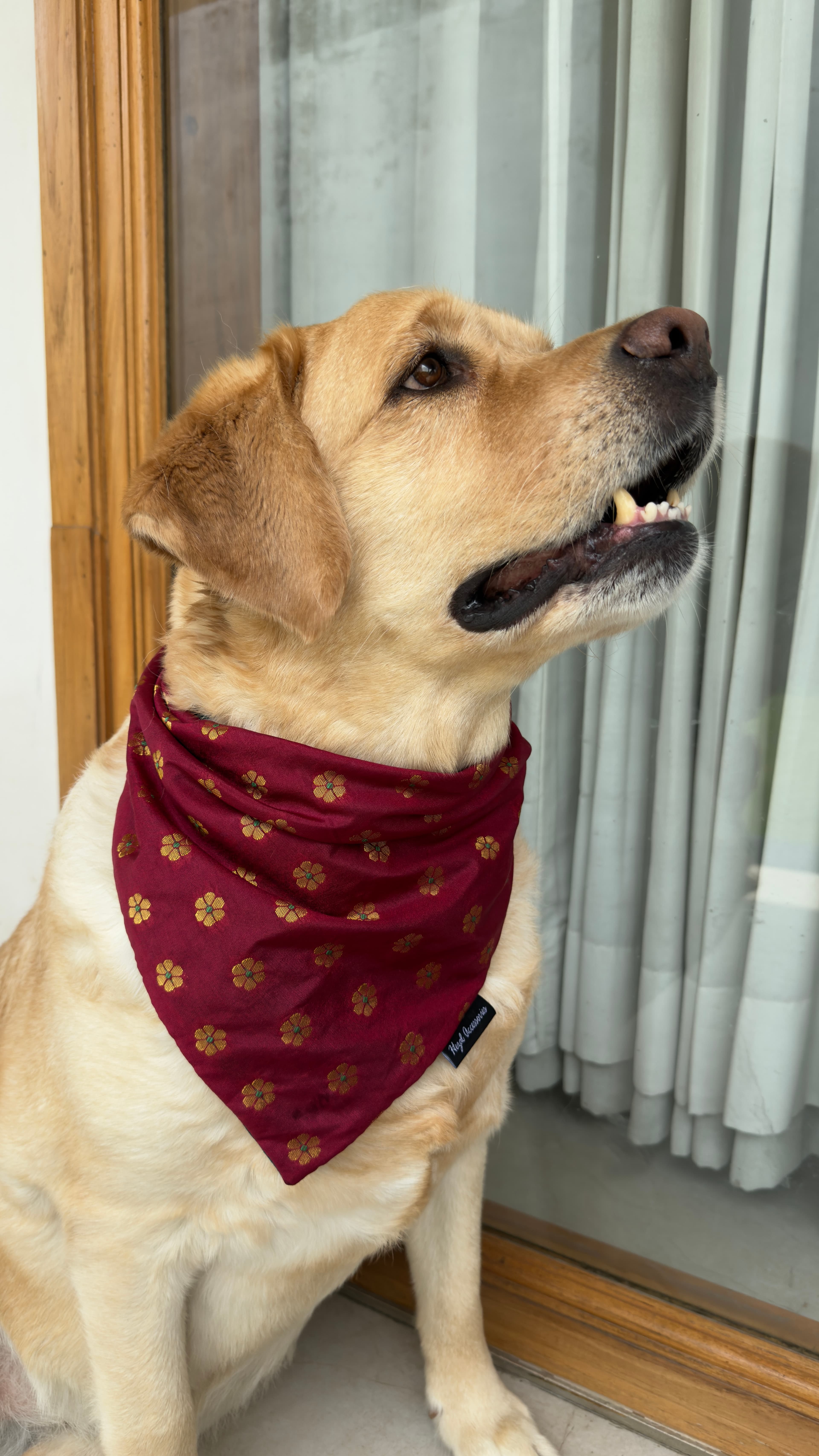   * Royal Maroon Blossom Tie on bandana 