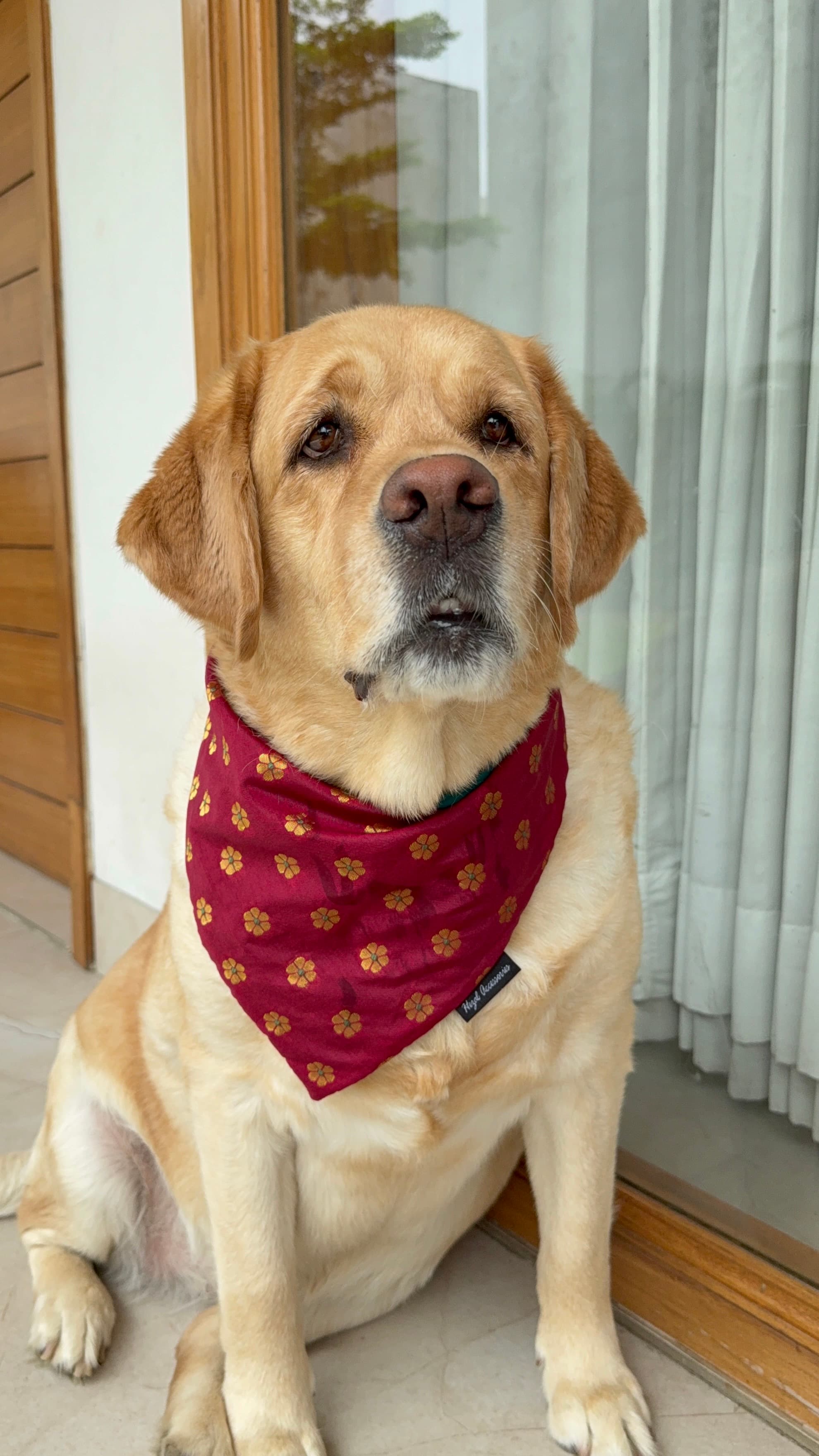   * Royal Maroon Blossom Tie on bandana  image 3