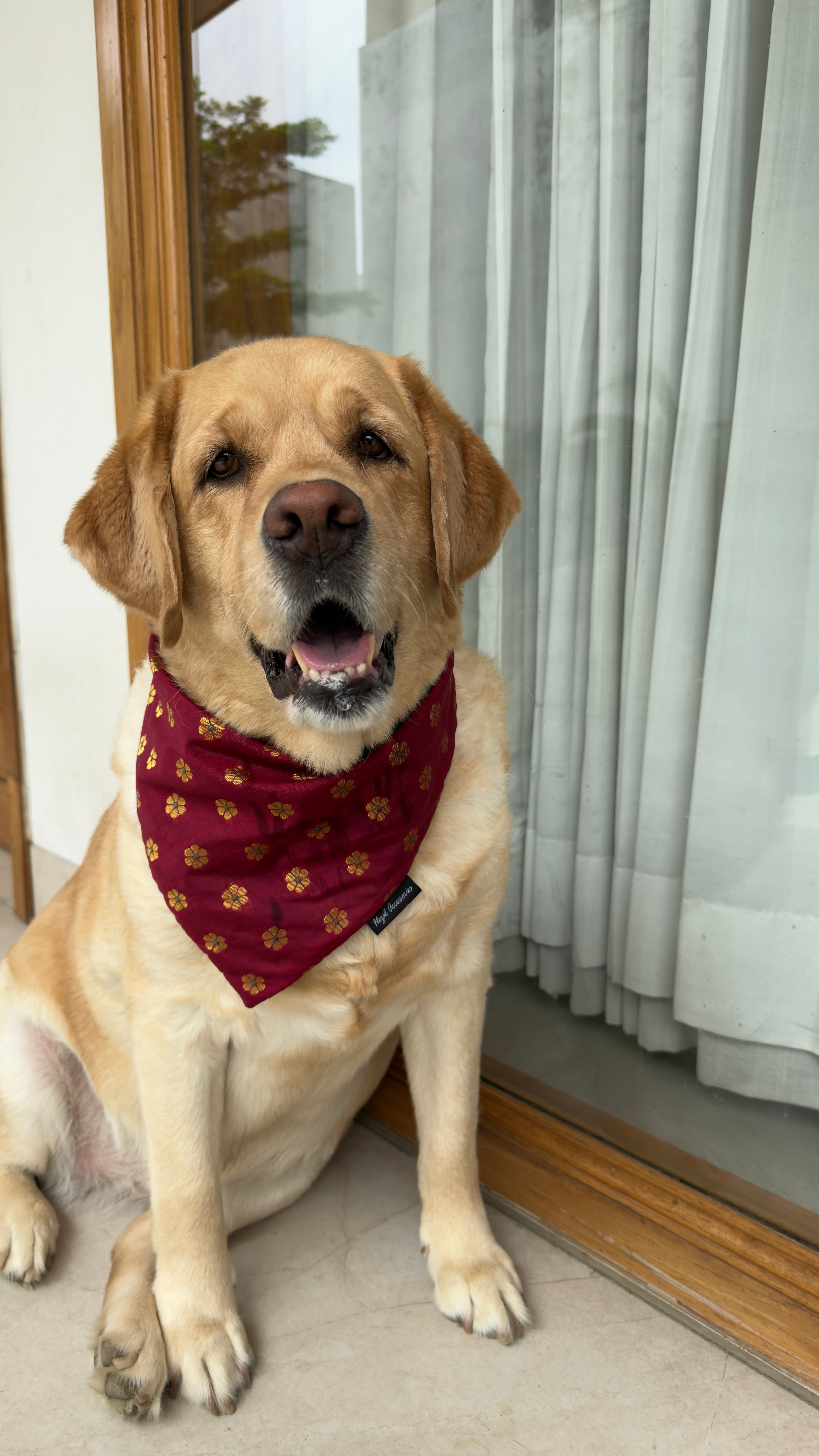   * Royal Maroon Blossom Tie on bandana  image 4