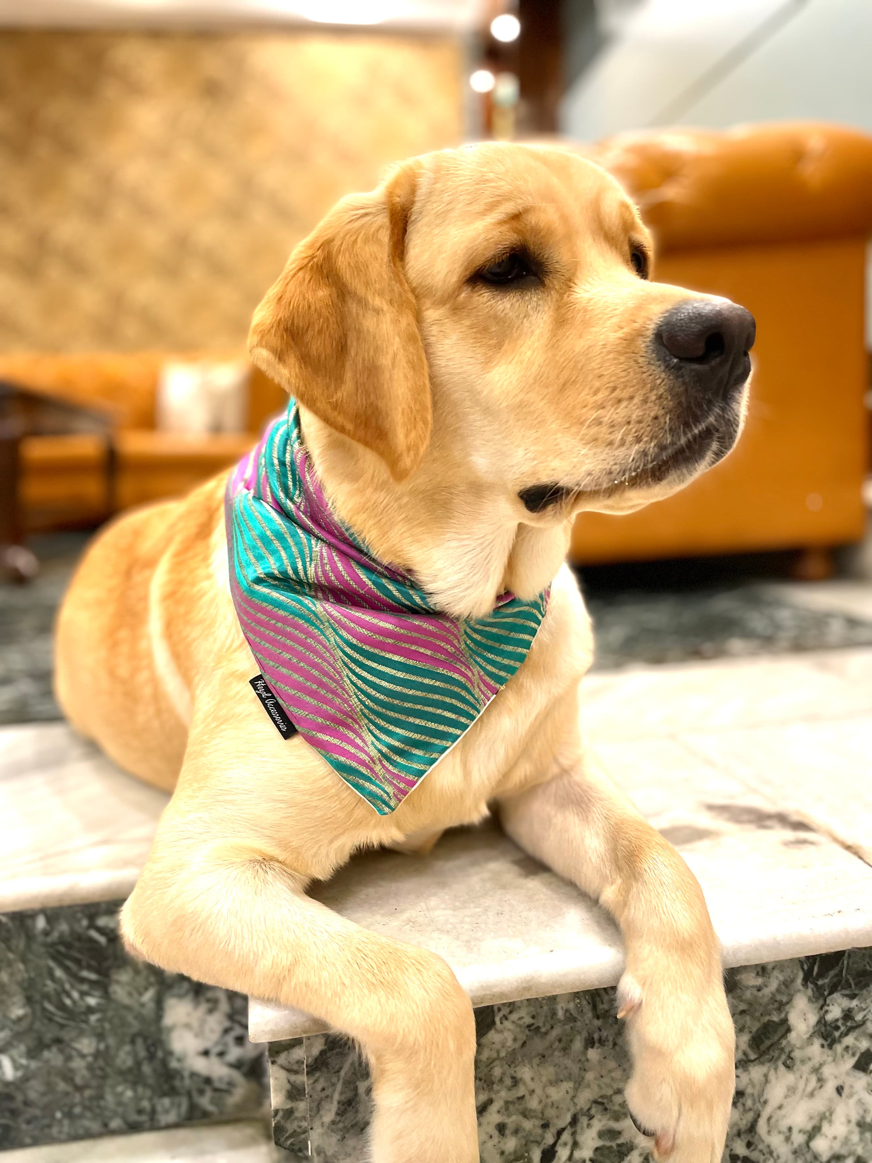 Emerald & Orchid Stripes Silk tie on Bandana