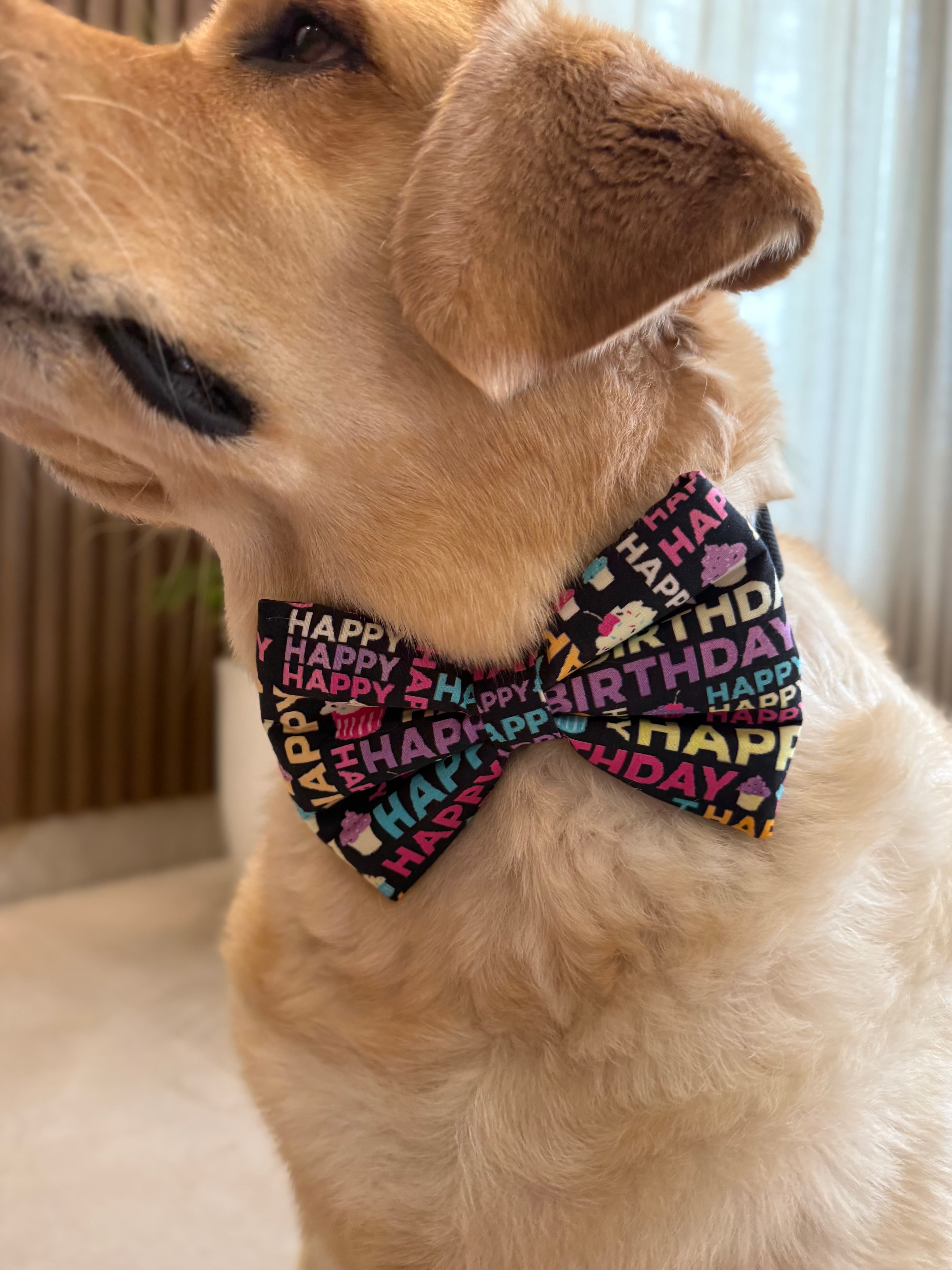 Cupcake Birthday Bow Tie