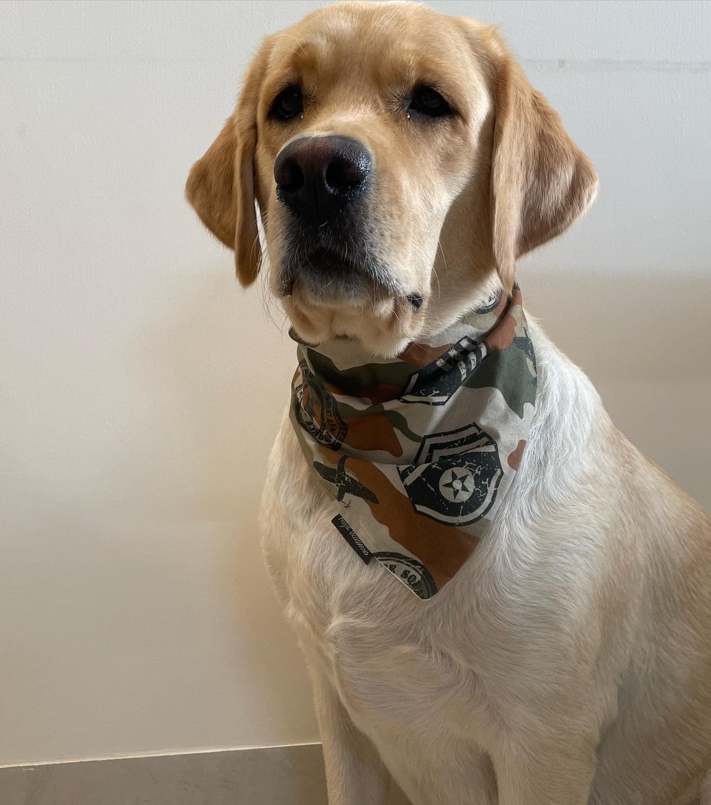 Camo Commander Bandana