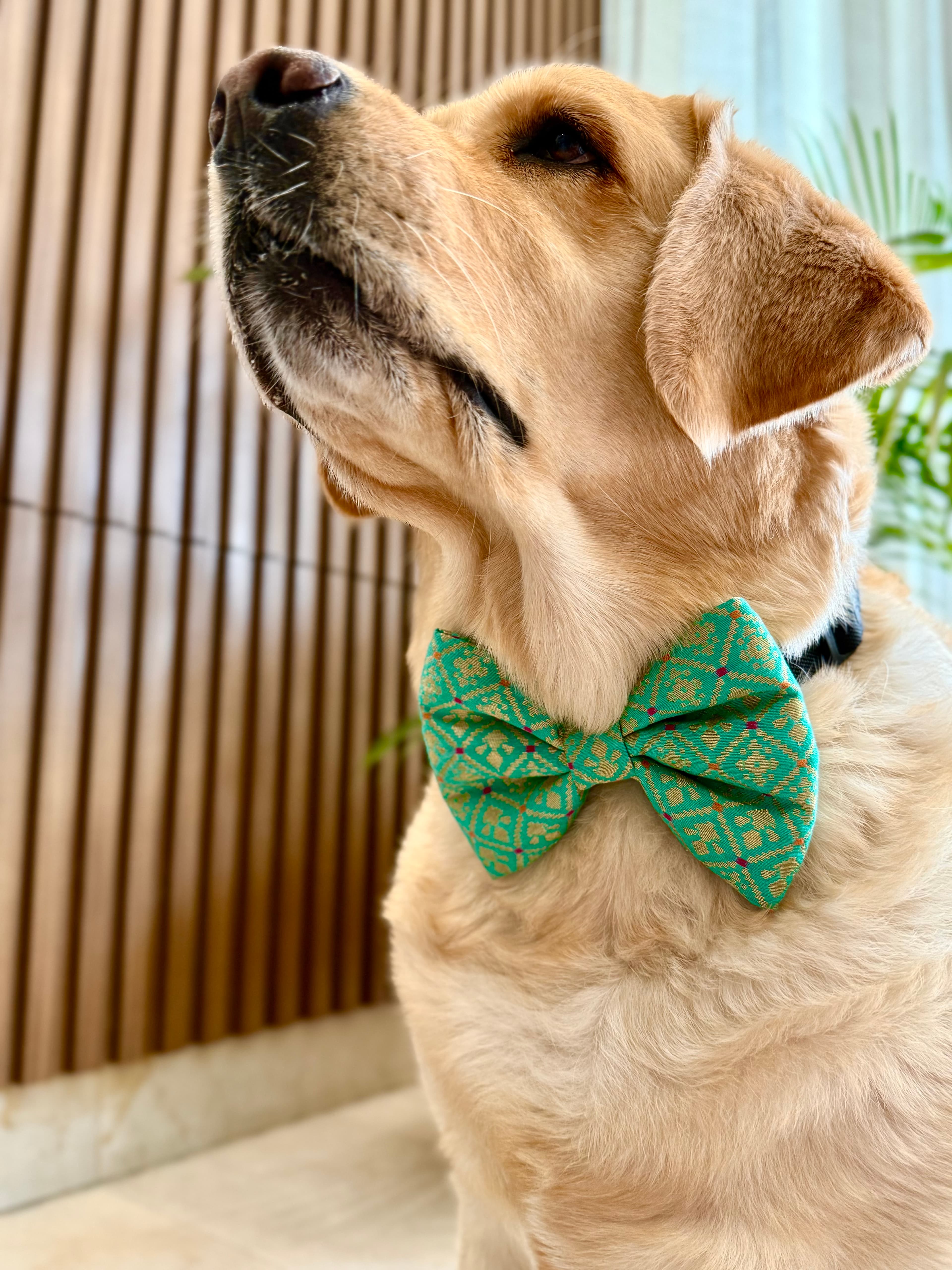 Festive Charm Bow Tie